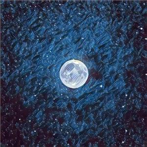 99在线精品视频
