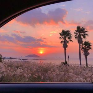 99在线精品视频
