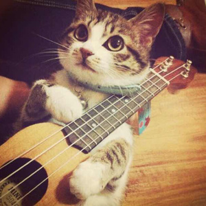 99在线精品视频
