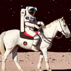 99在线精品视频
