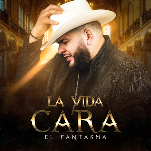 99在线精品视频
