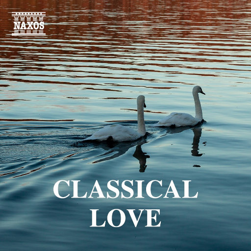 99在线精品视频
